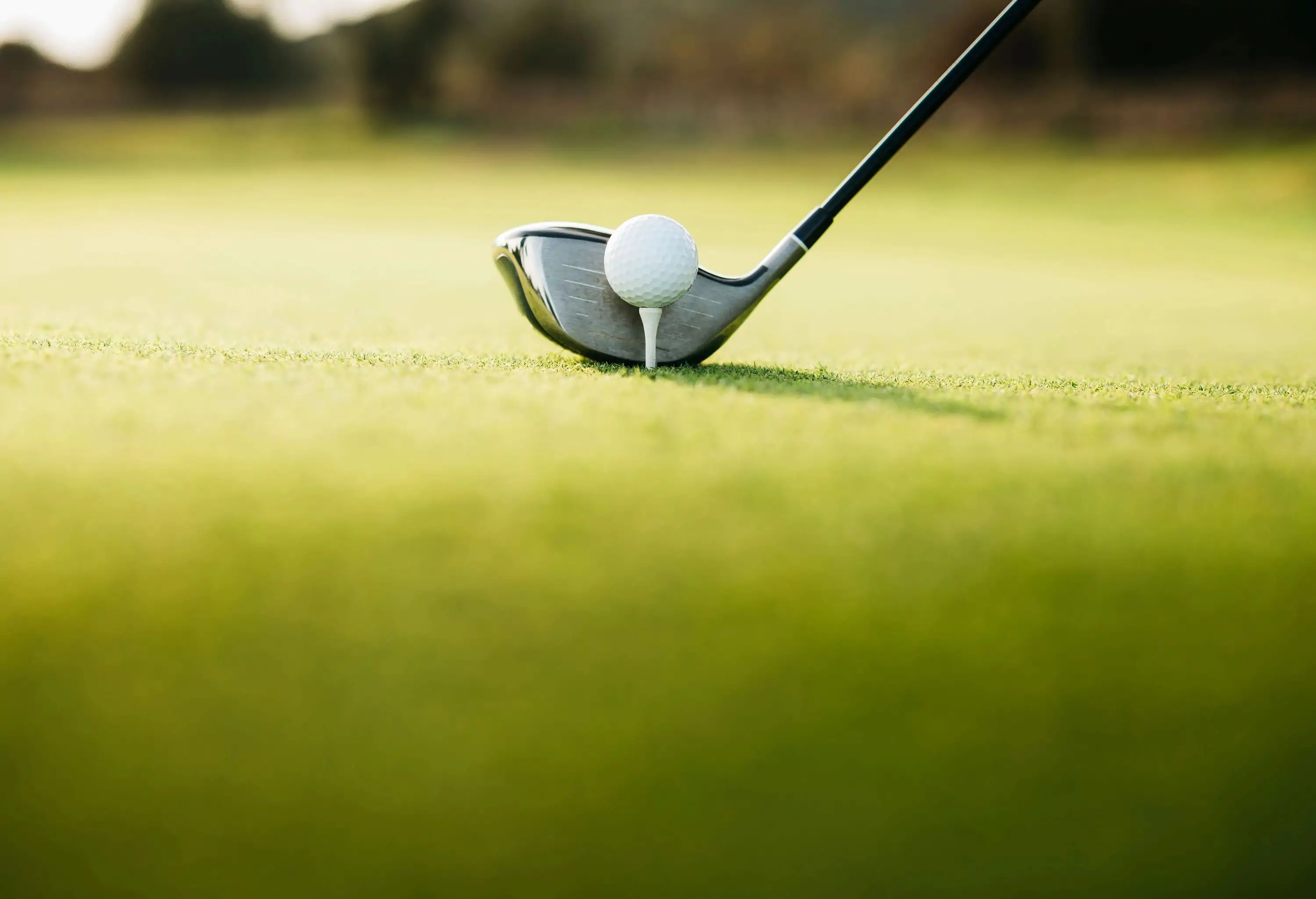 Closeup of golf ball on a tee on a lush golf course.