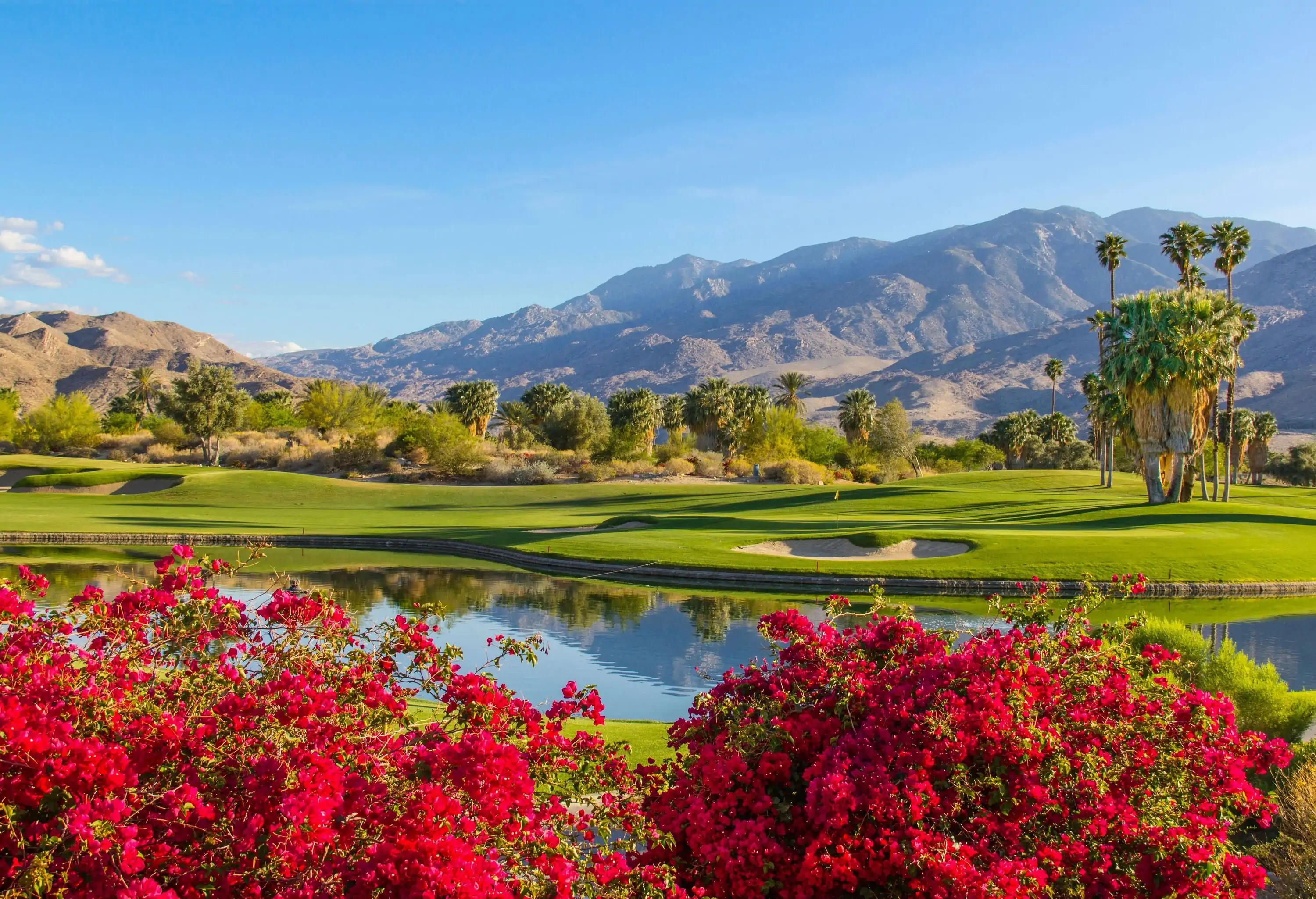 Under the warm glow of sunlight, a golf course radiates beauty, with vibrant red bougainvillaeas in the foreground adding a splash of colour, while a majestic mountain graces the background.