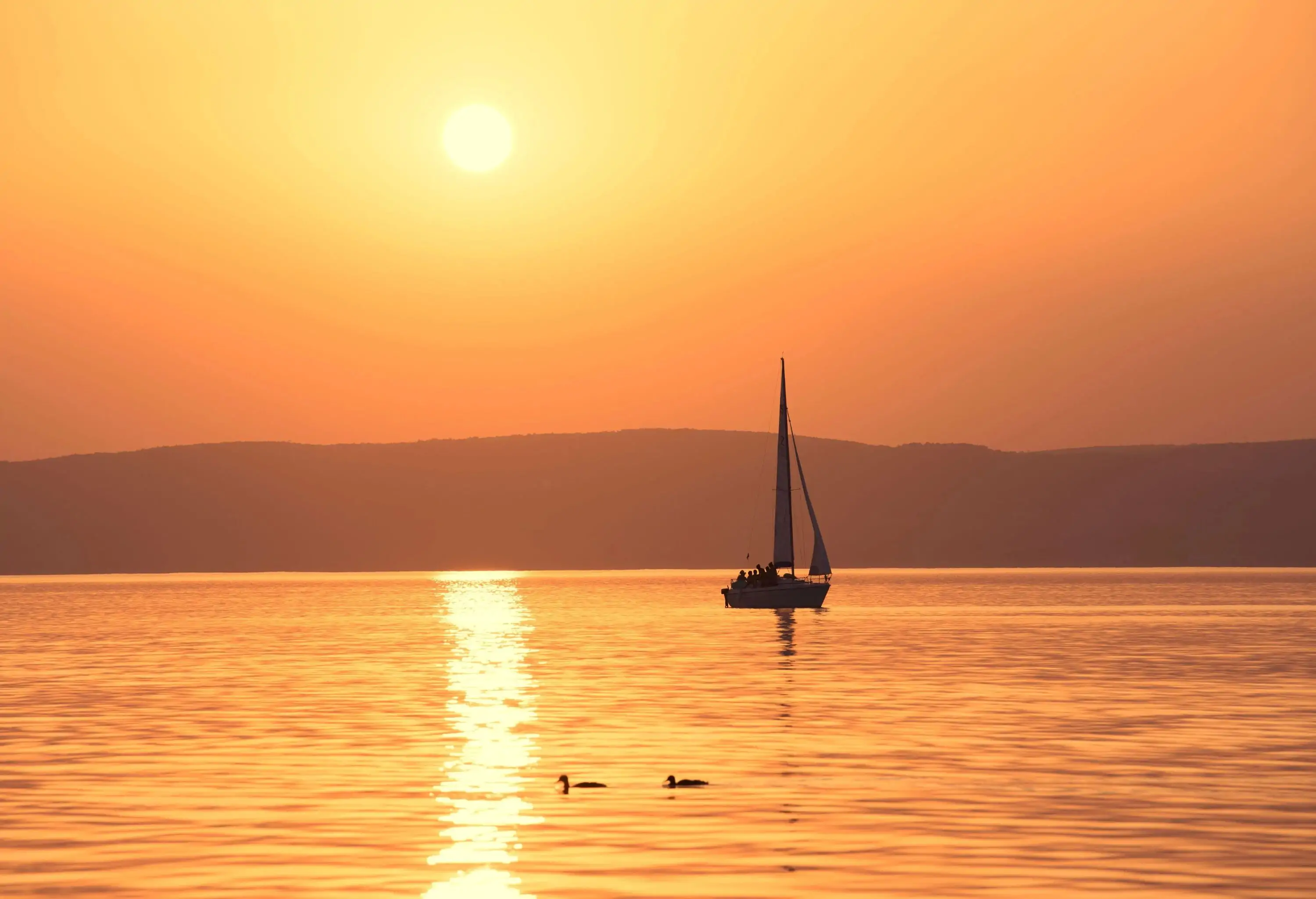 Silhouette of a sailboat and two ducks in a glistening lake against a backdrop of a setting sun and an orange sky.