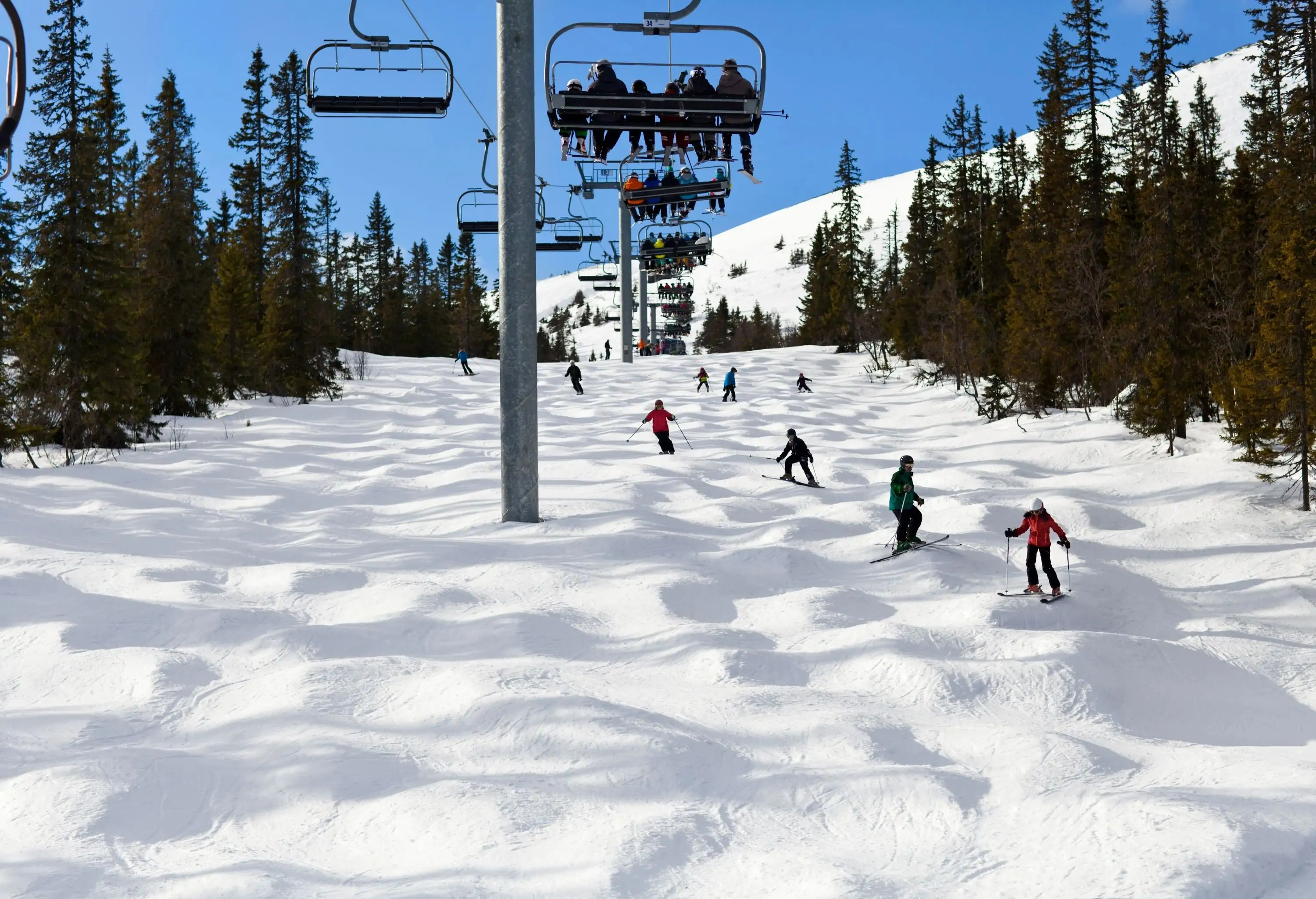 A group of people skiing down a snow slope under a line of ski towers with packed chairlifts.