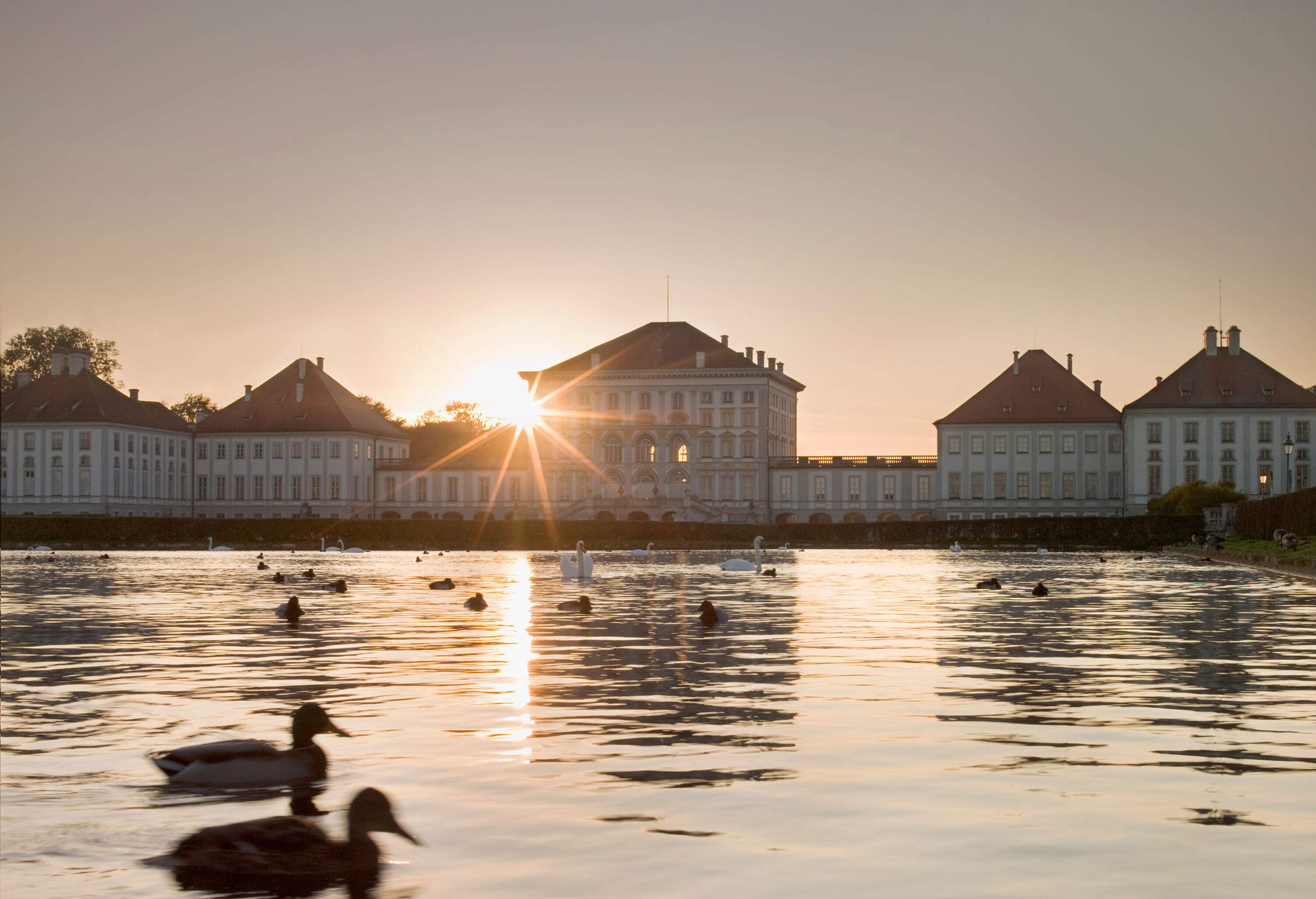 The sun's rays shining through the roofs of a building across a pond filled with swimming ducks.