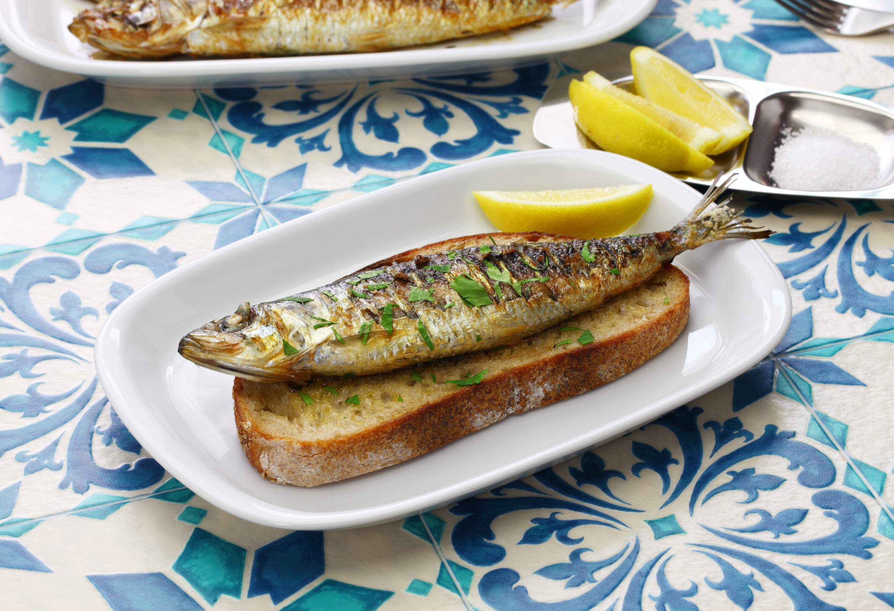 A plate with a grilled fish on top of a toasted bread.