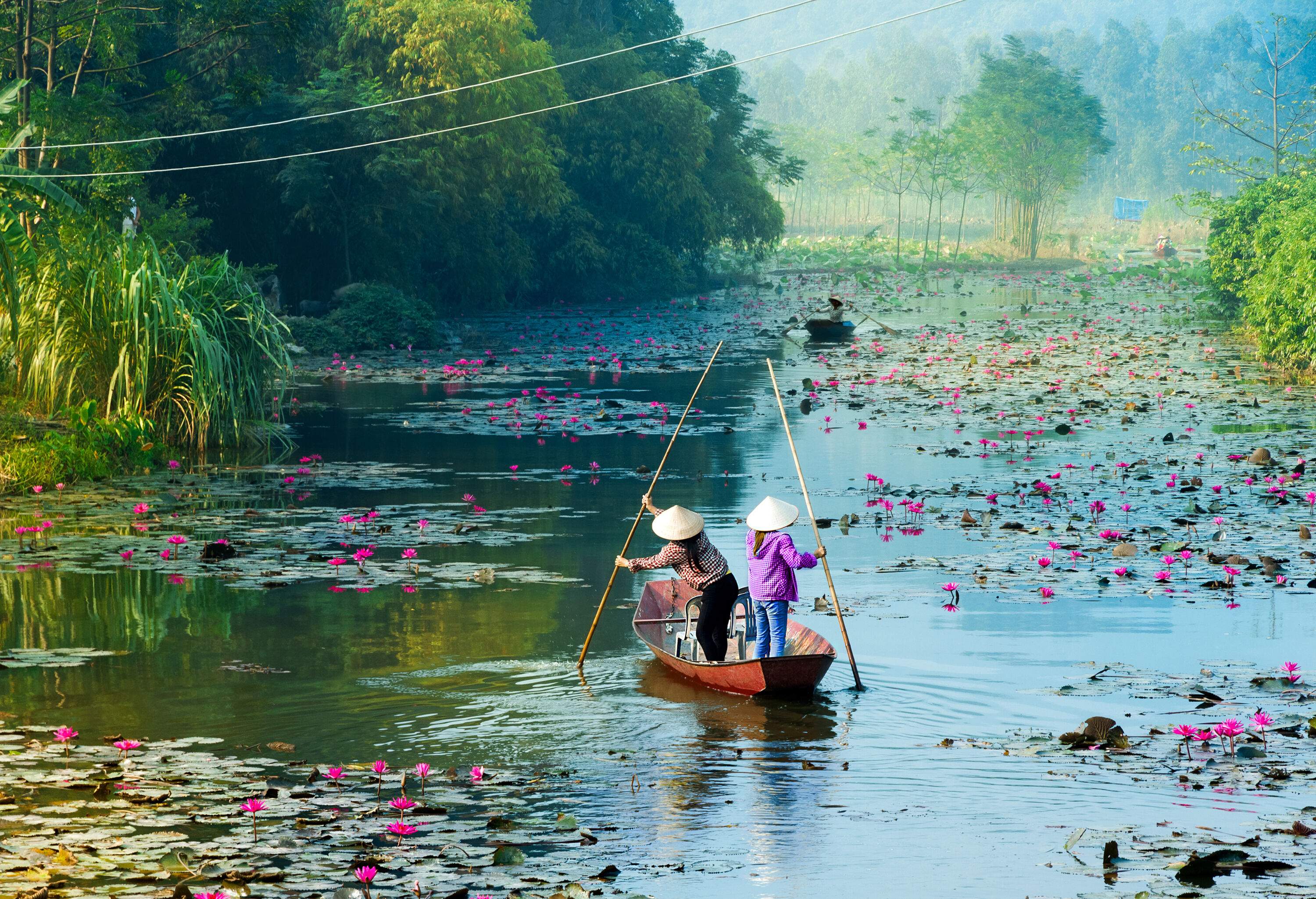 Two people standing in a rowboat rowing across a lake surrounded by tall trees and a lily pond with red lotus flowers.