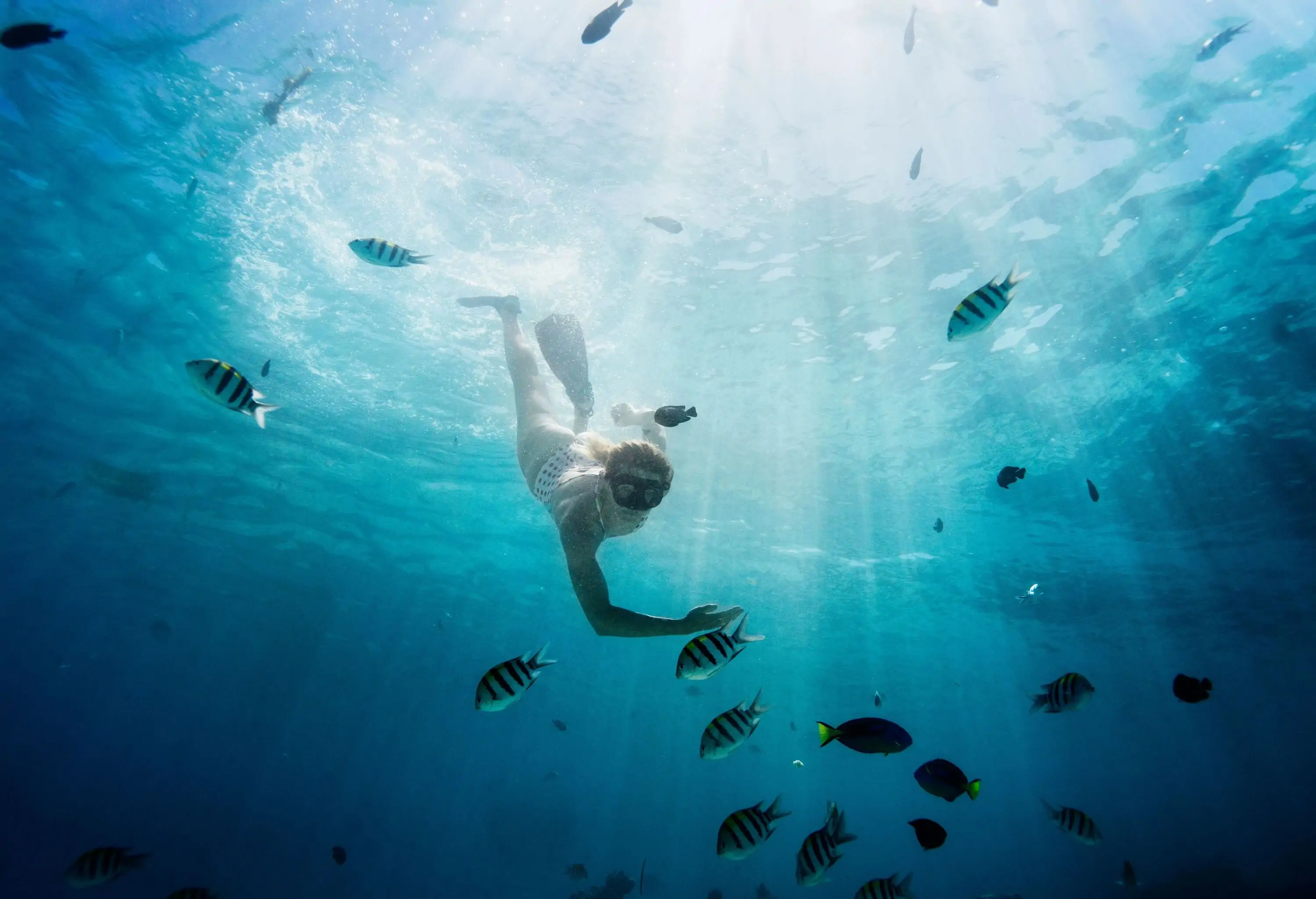 A woman swimming under sunlit waters with a shoal of fish around.