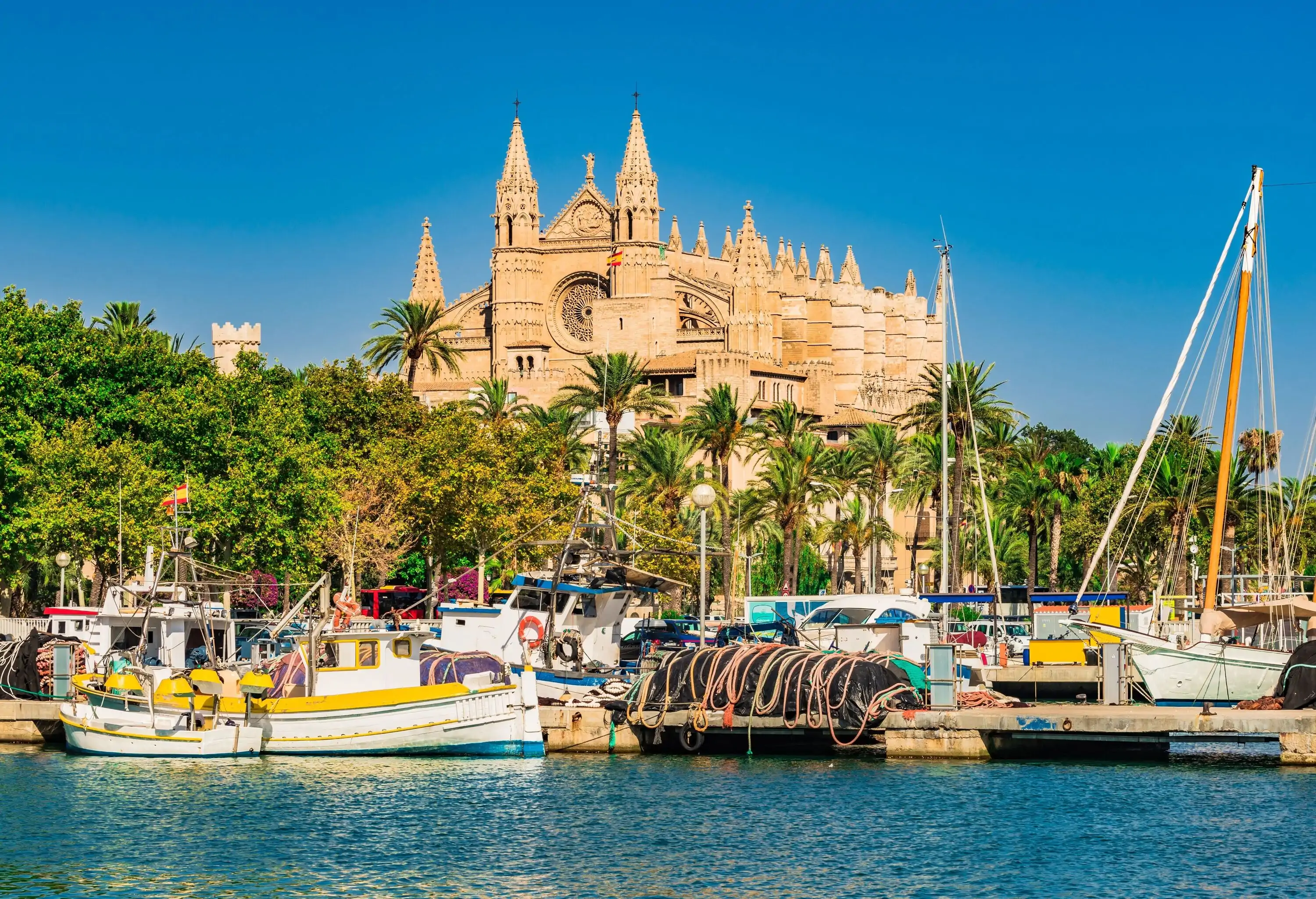 Fishing boats moored on the fishing boat with a view of a Gothic cathedral surrounded by tall green trees.