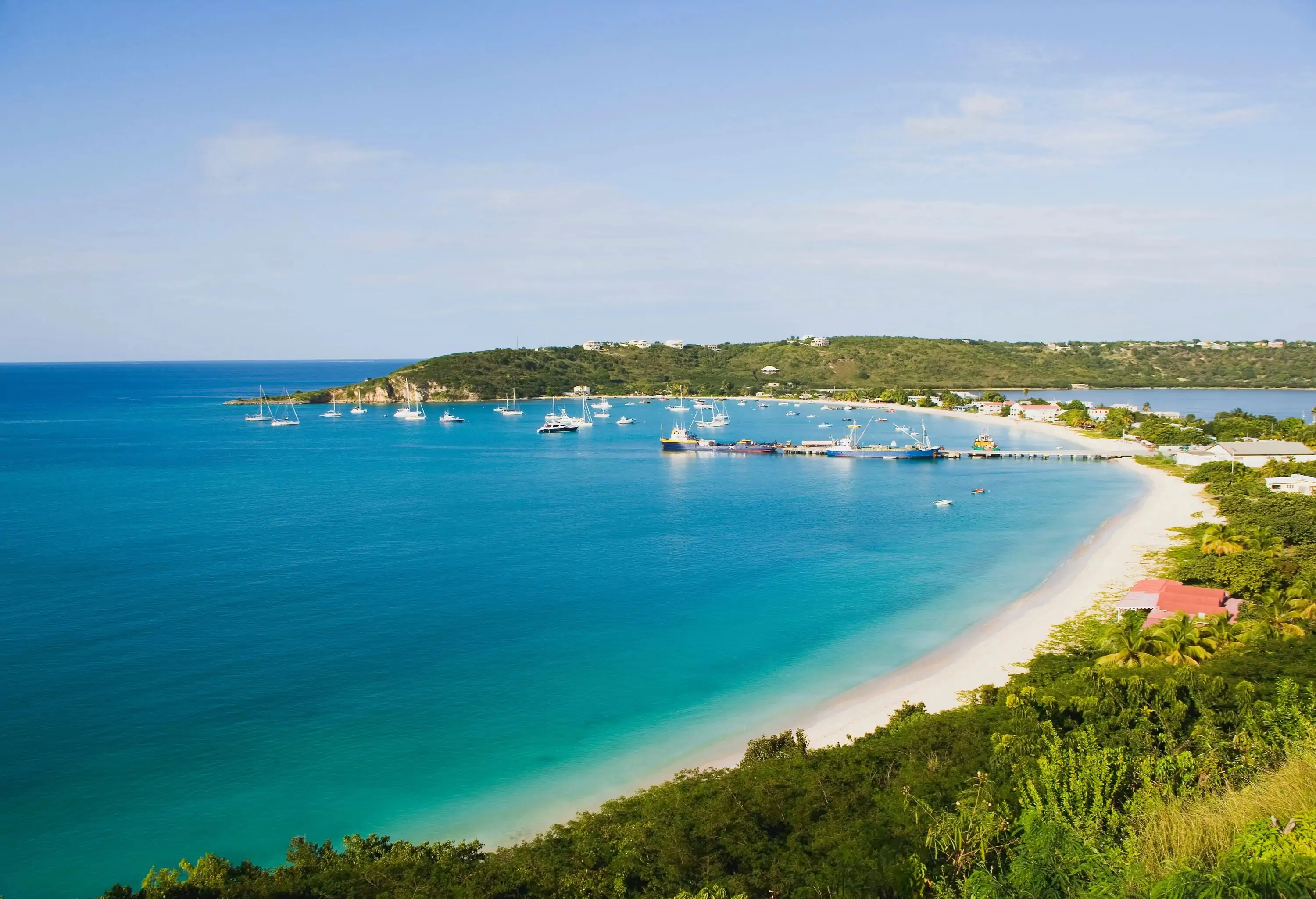 A cove crowded with anchored yachts as seen from a forested hill.