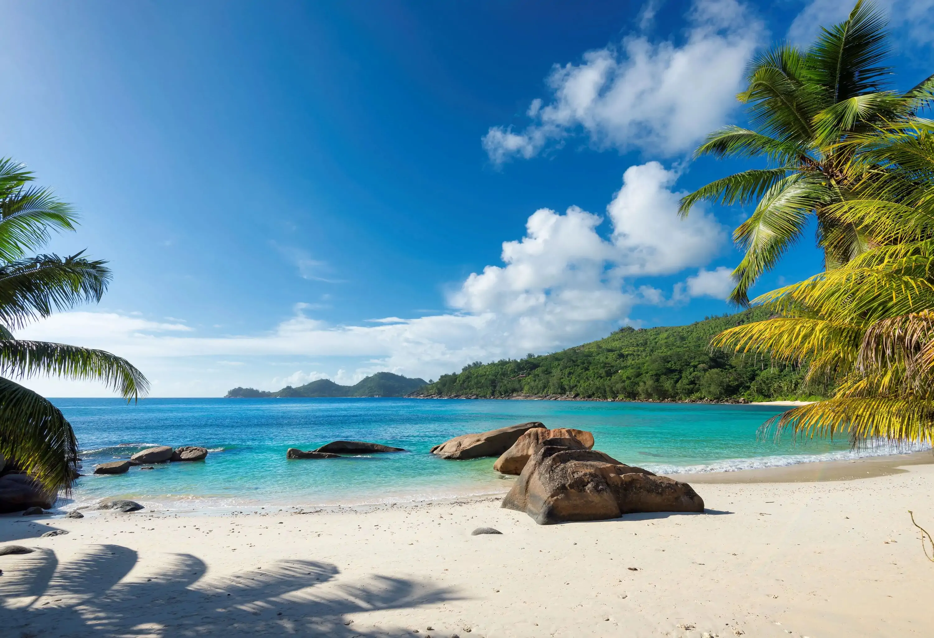 A white beach with coastal rocks, turquoise waters, and a grove of palm trees.