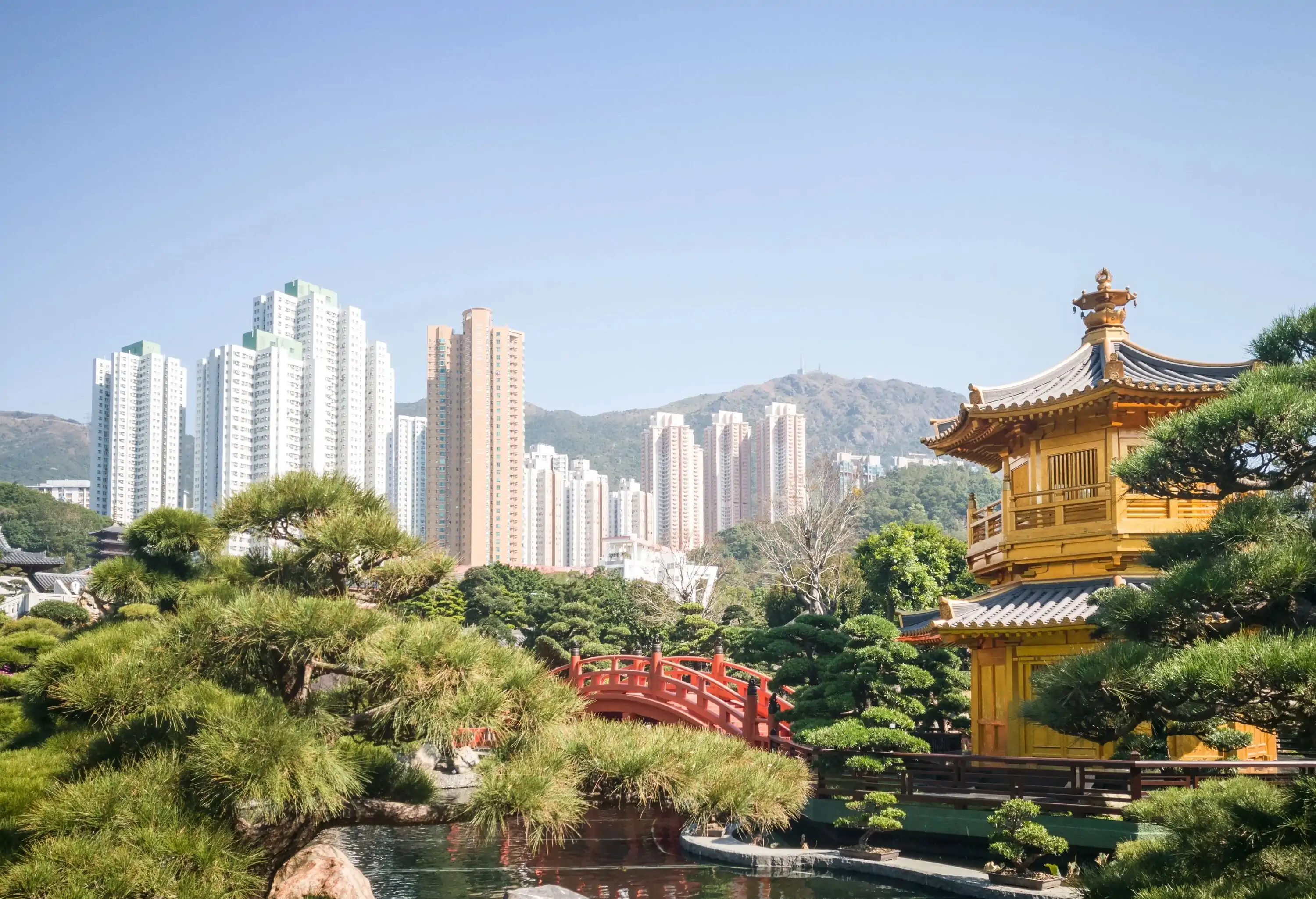 A Chinese garden with a Zi Wu bridge over a pond next to a pavilion, with tall buildings in the backdrop.