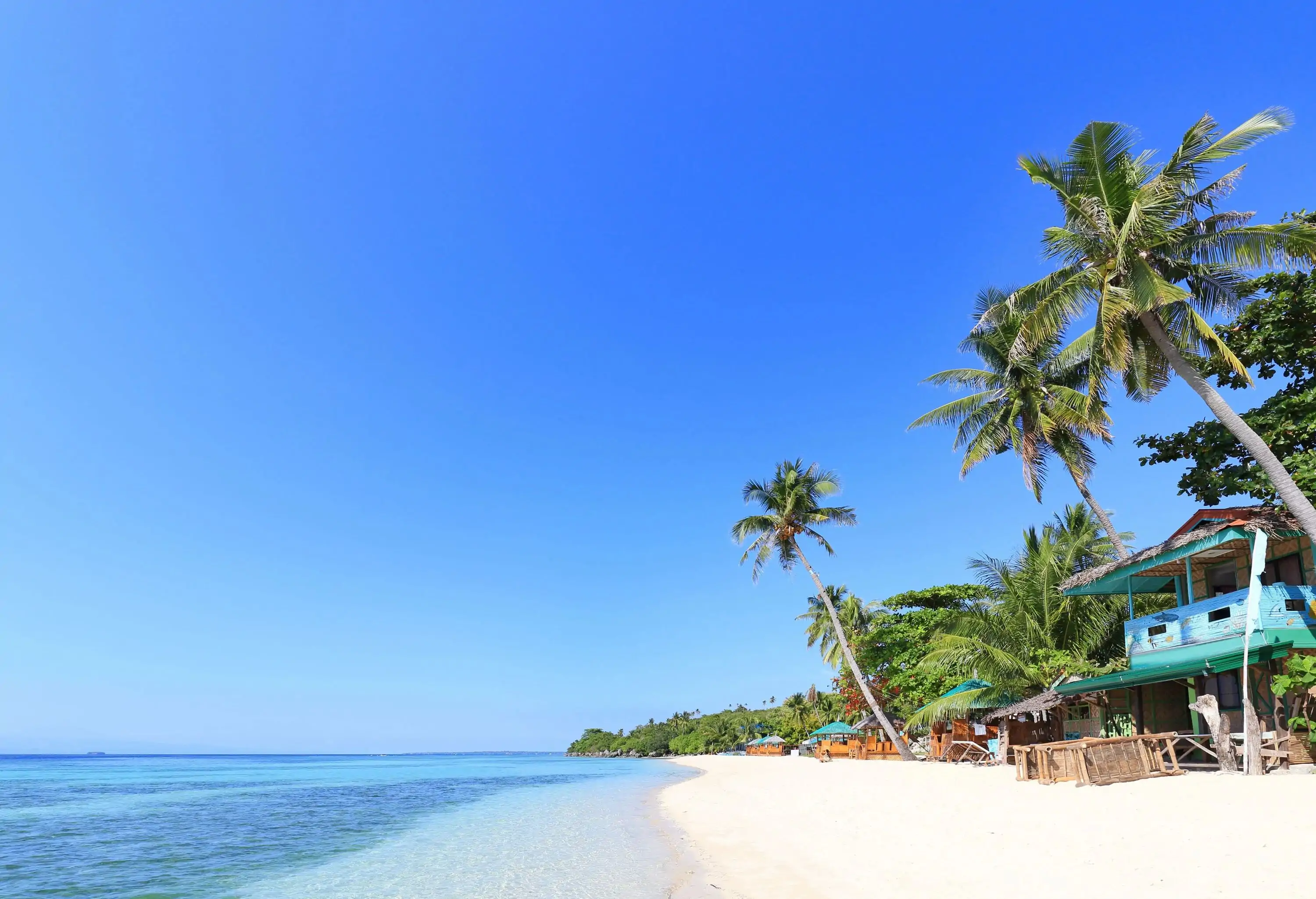 Pristine white sand beach with crystal-clear waters, fringed by swaying palm trees, and dotted with charming huts.