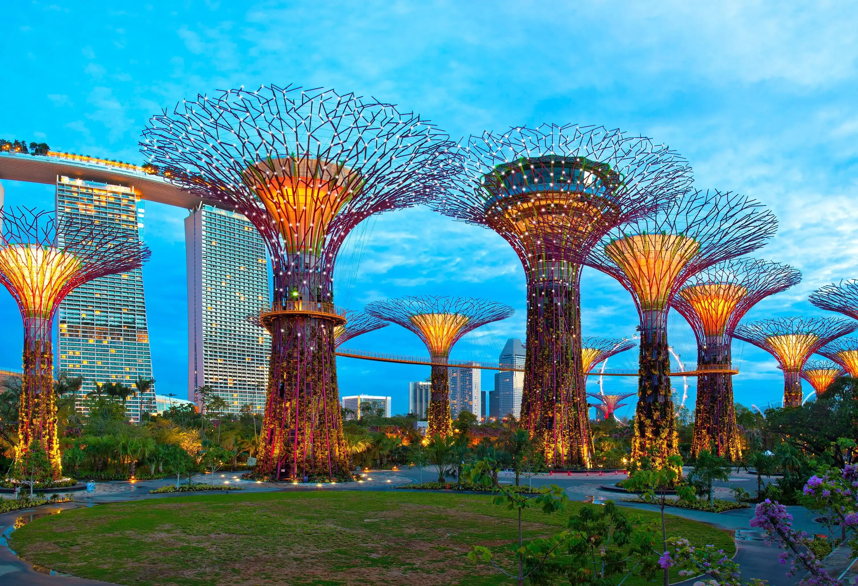 Illuminated of Supertree in gardens by Bay.