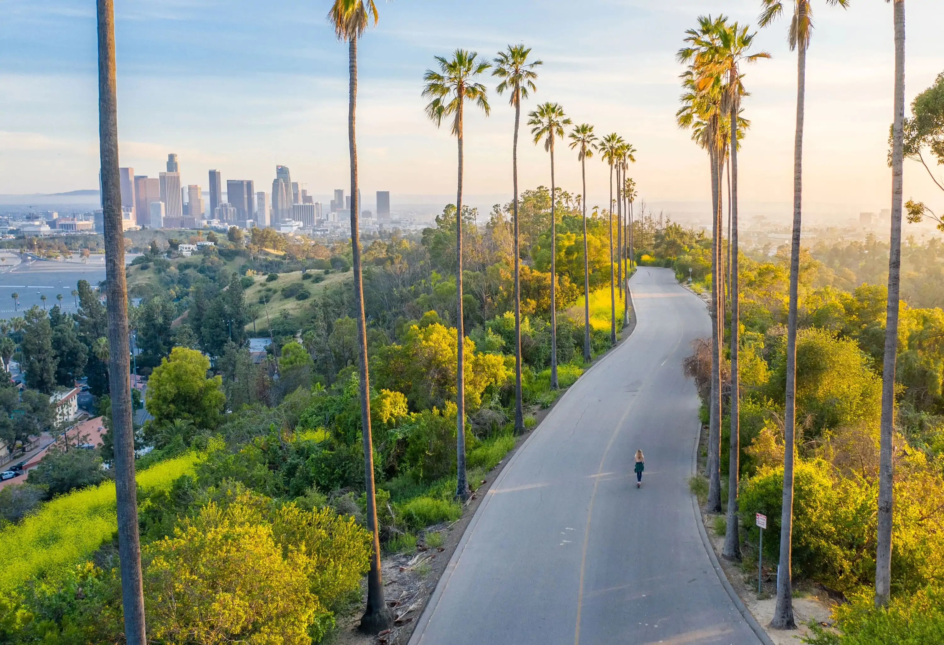 A woman walks down a tree-lined road on a hill with overlooking views of a city skyline.