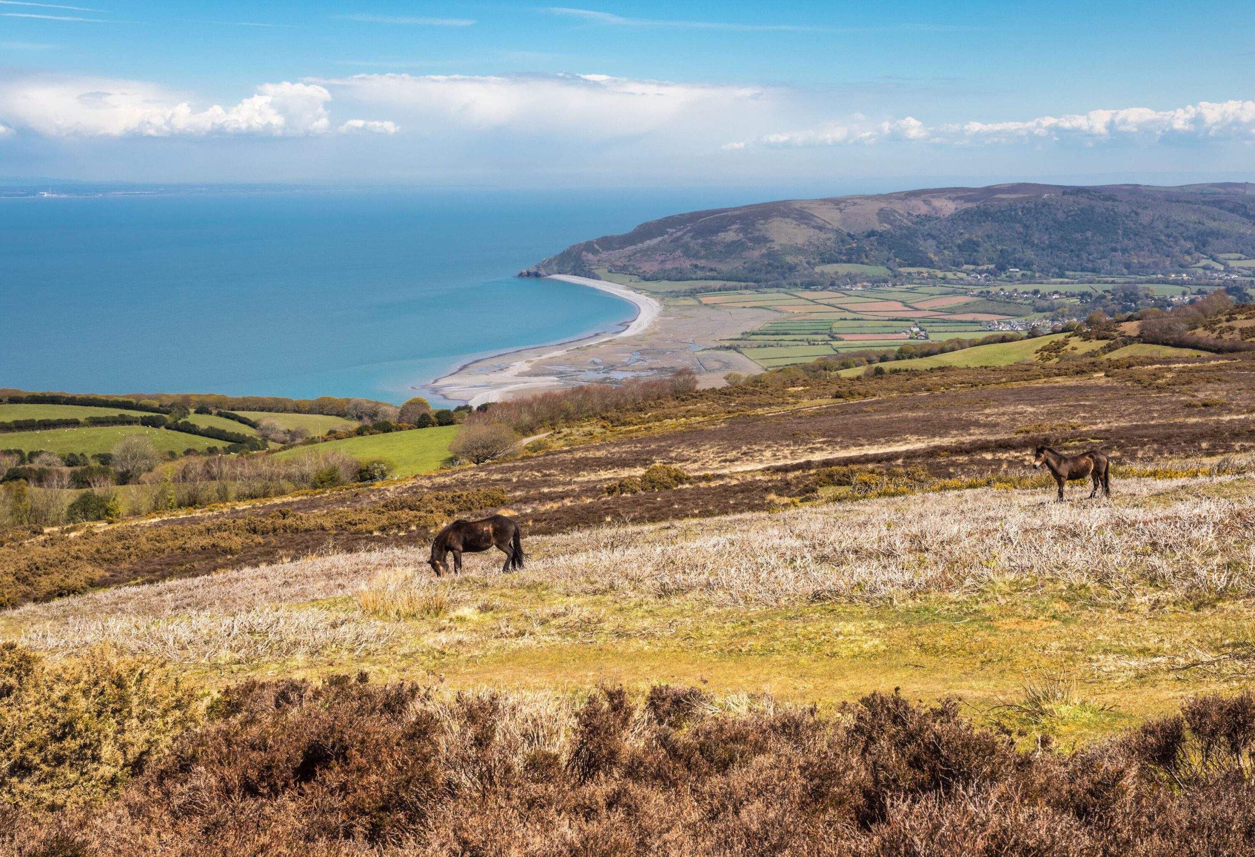 A view across Porlock Common, with Porlock Bay in the distance, Exmoor National Park, England.