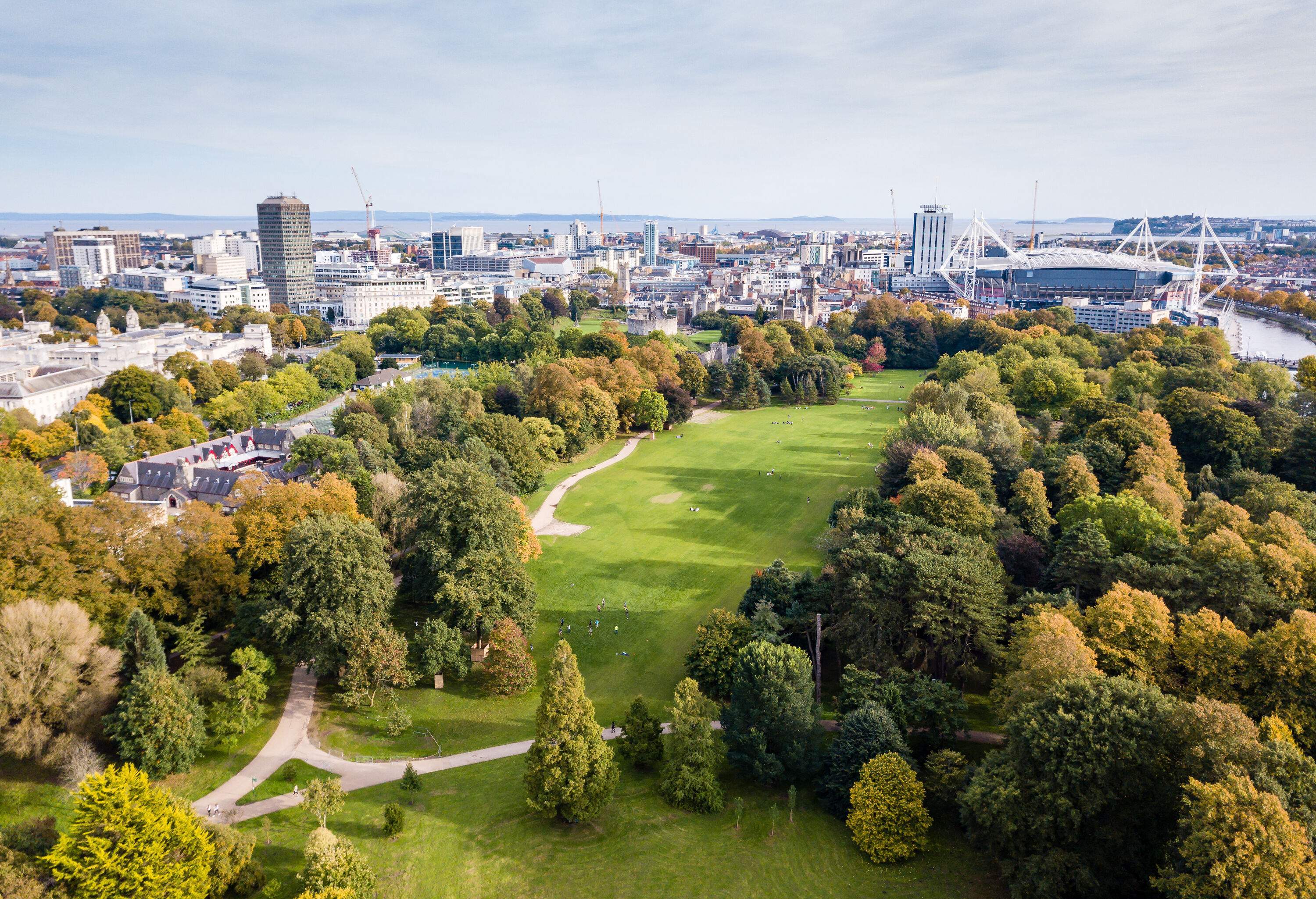 An open field in a park with lush greenery surrounding it, and the distant metropolis in the background.