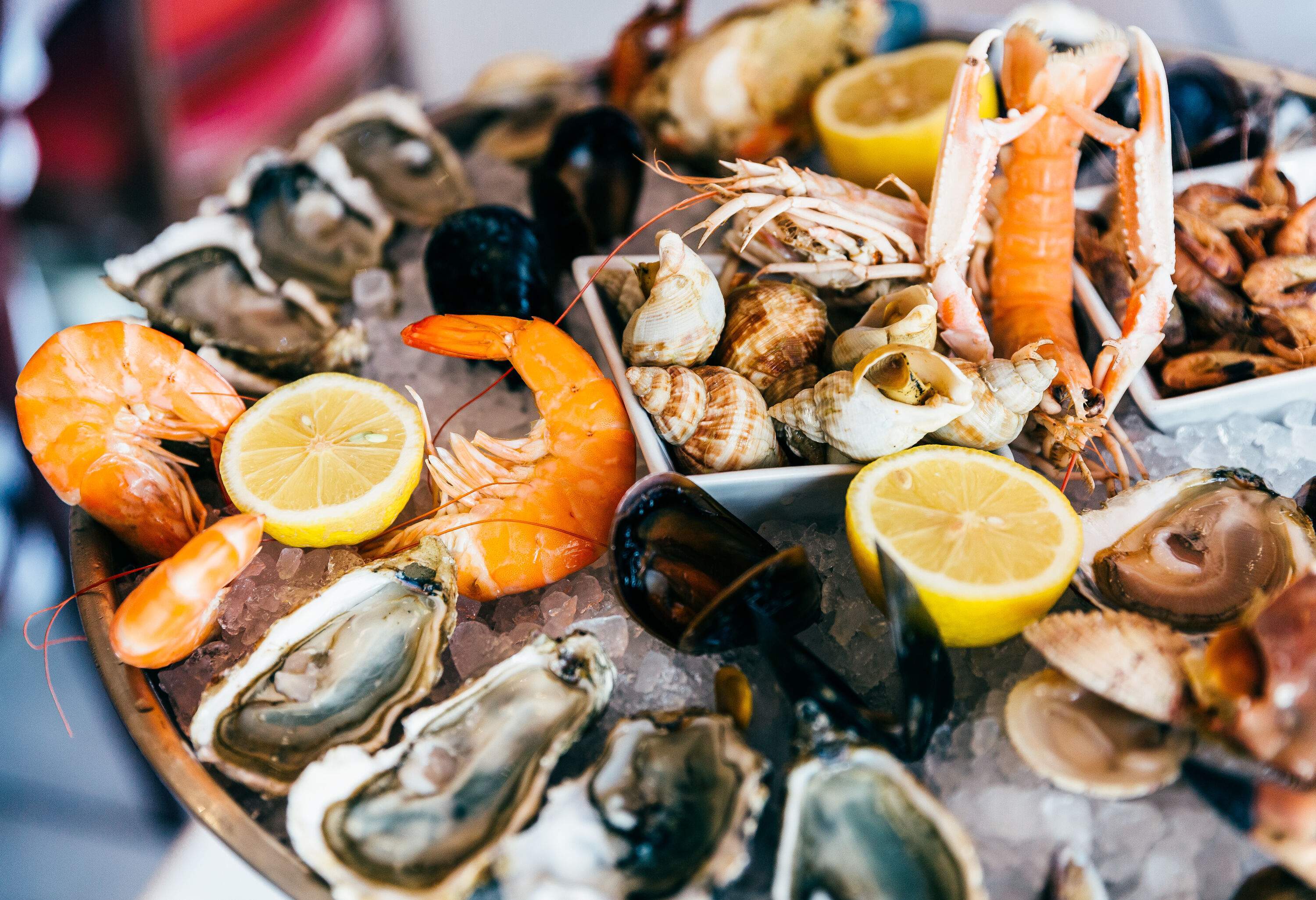 A stunning seafood platter featuring a bountiful selection of shellfish and succulent shrimps, elegantly arranged on a bed of glistening ice, accompanied by refreshing lemon slices.