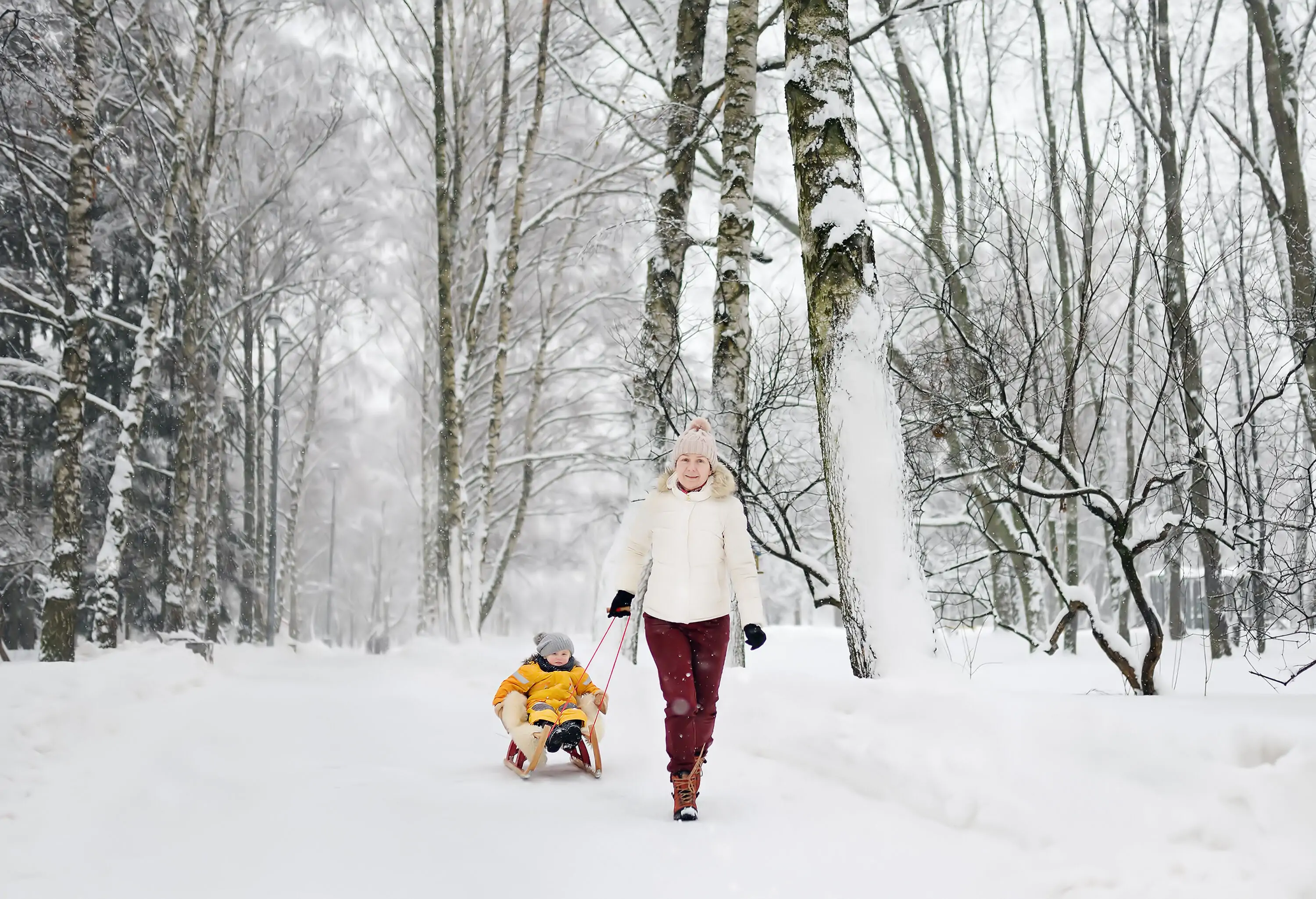 A person pulling a boy in a sleigh through a snowy route amongst frosted trees.