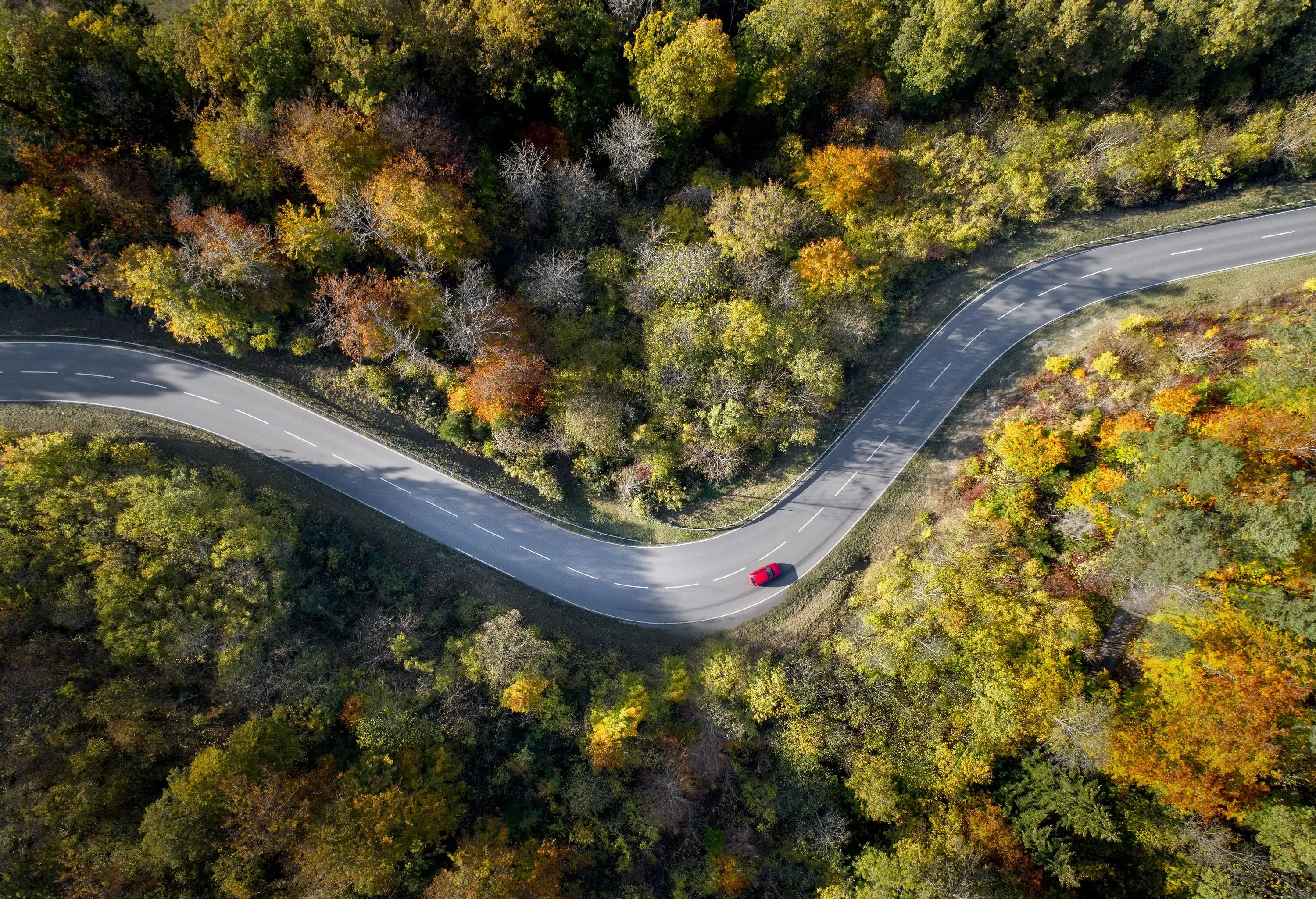 Curving country road from above with fall colors