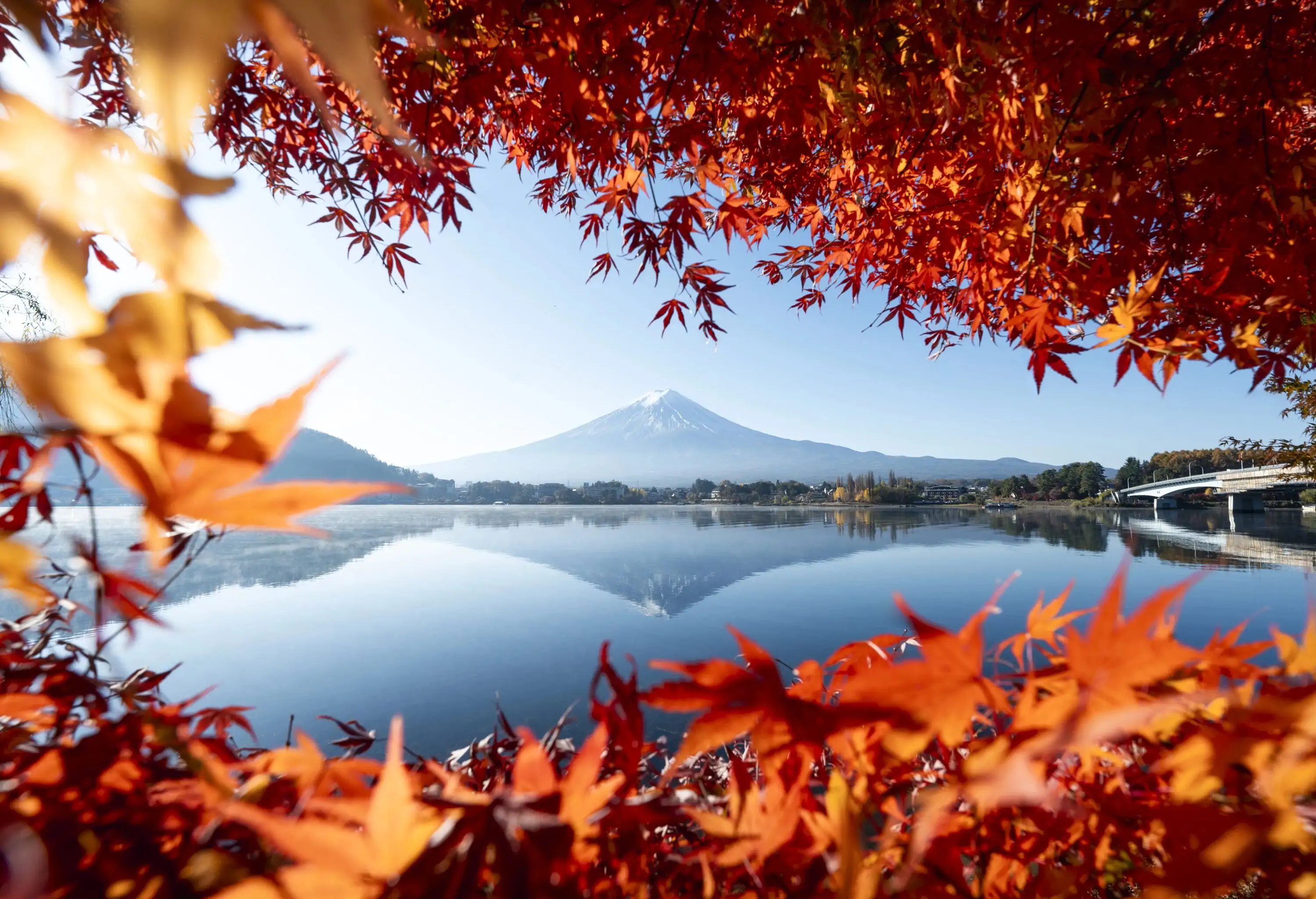 White mountain, blue sky and red leaves.