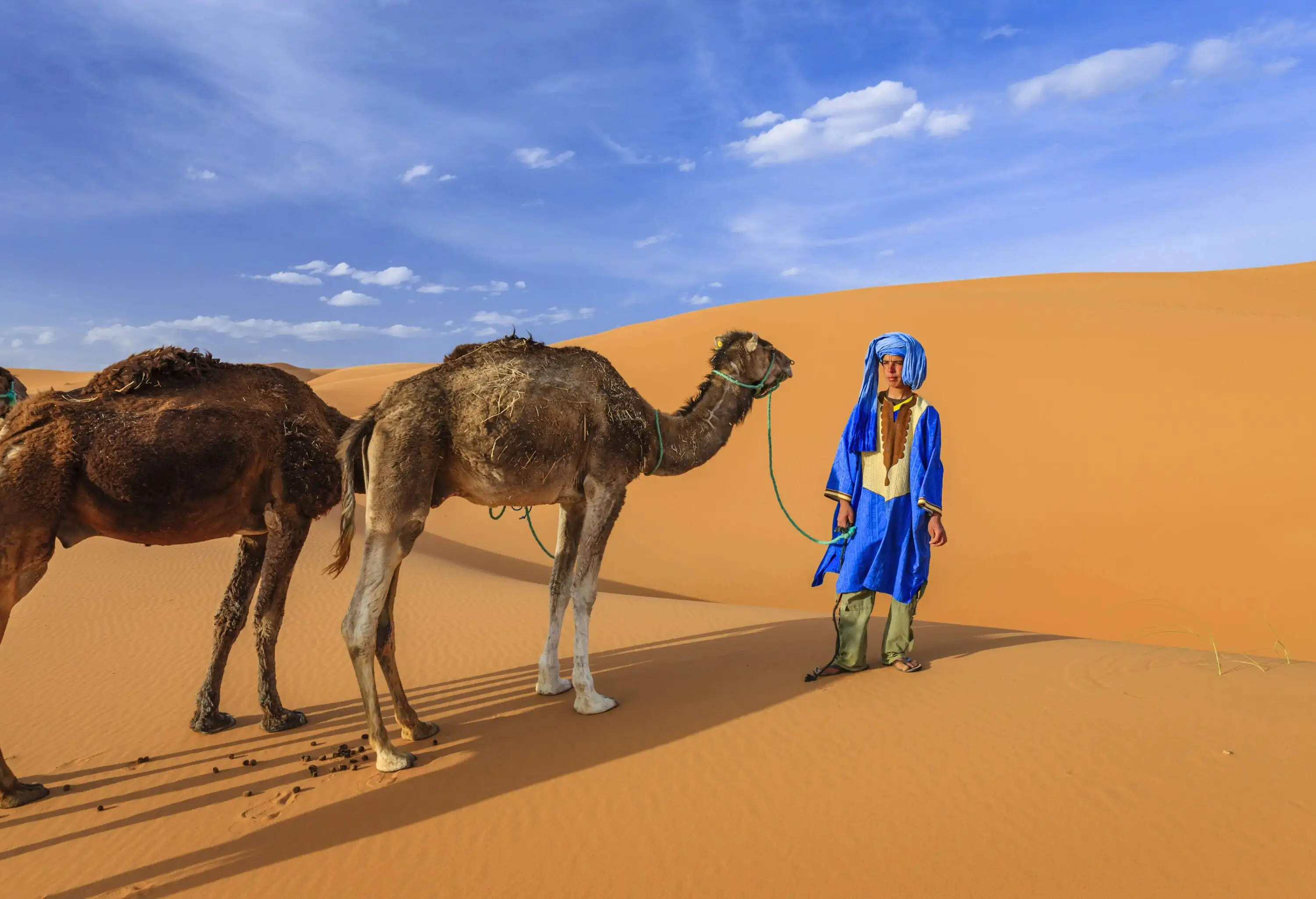 Tuareg with camels on the western part of The Sahara Desert in Morocco.