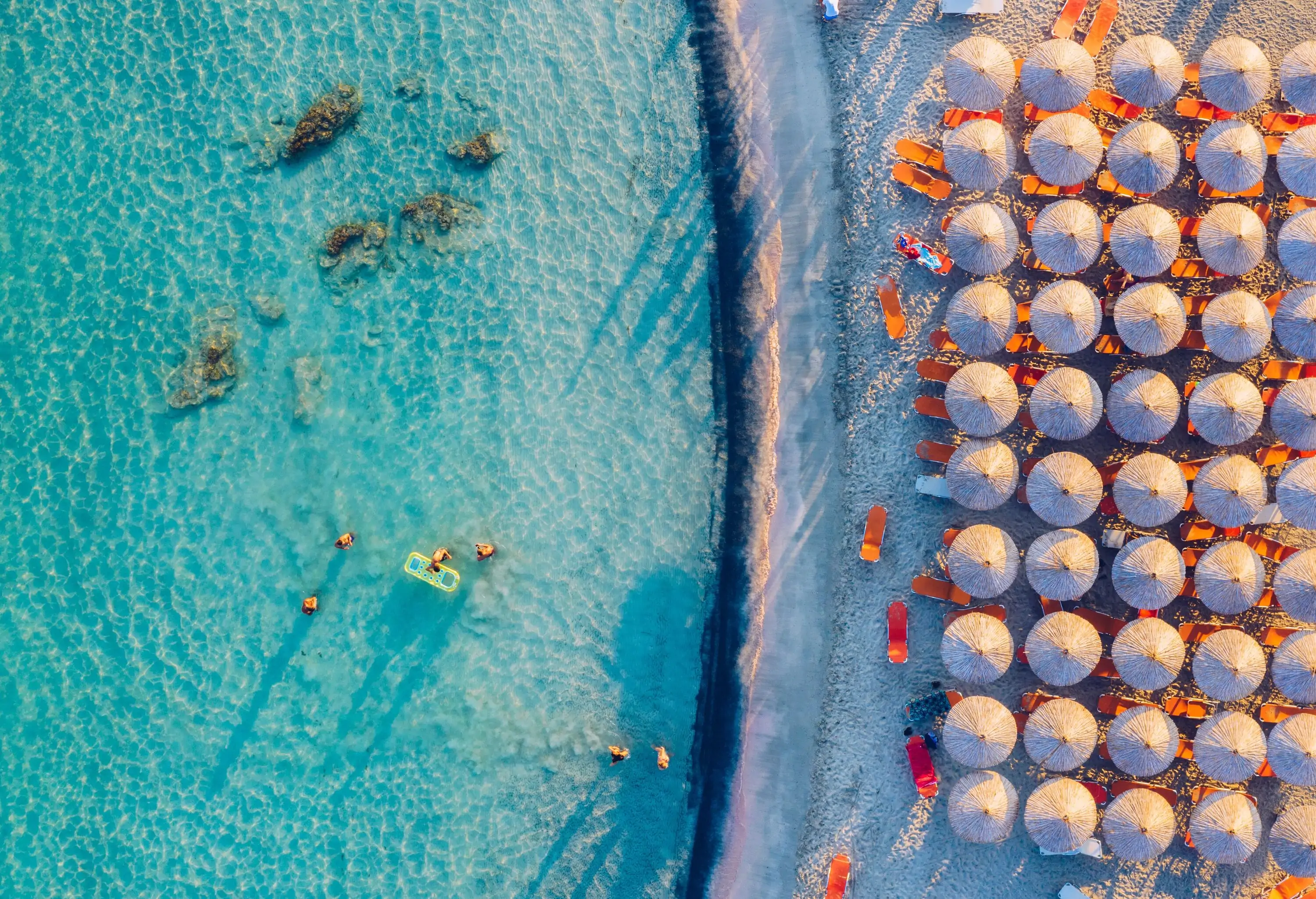 People swim in a crystal-clear pink beach with a row of sunbeds and umbrellas.