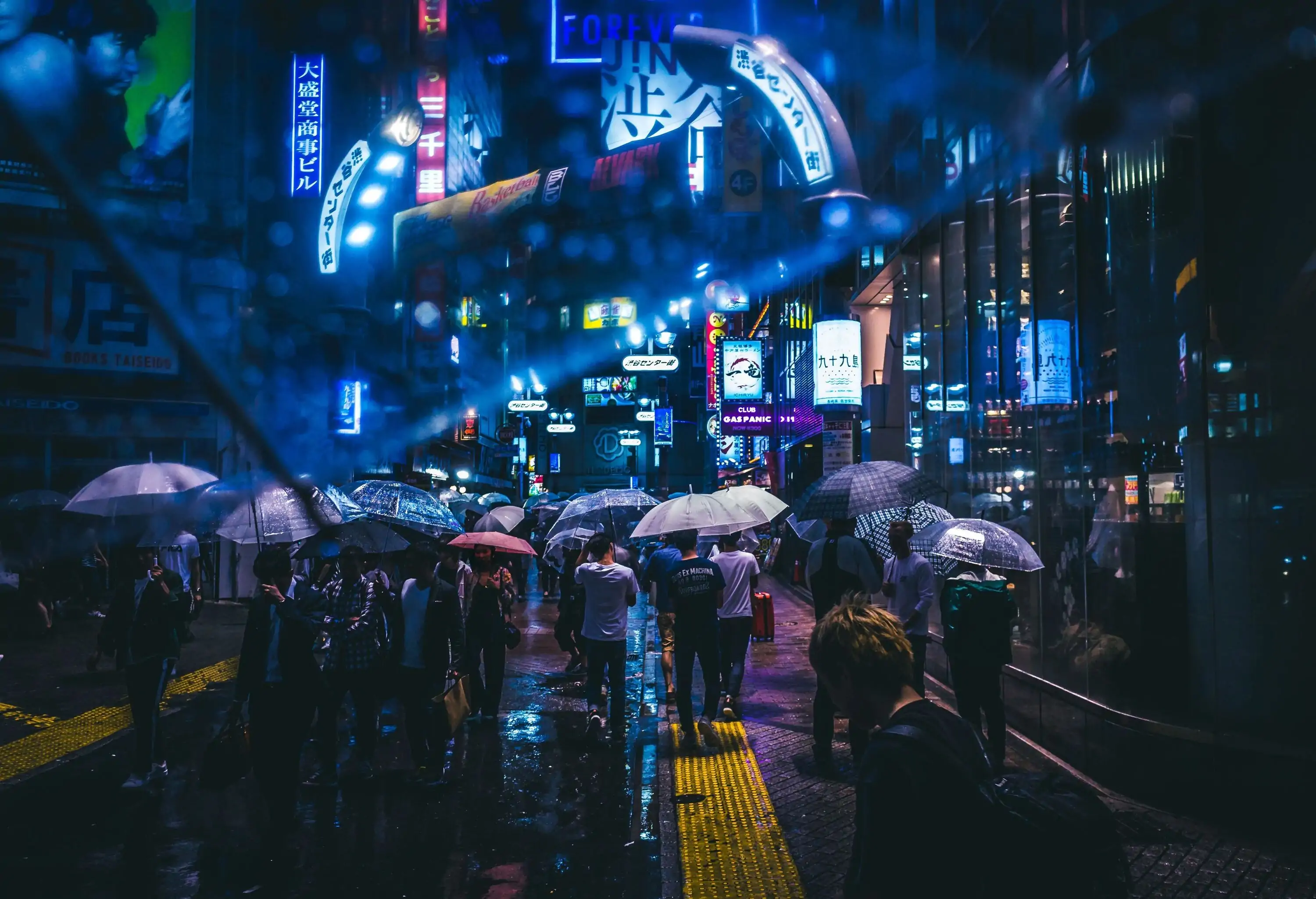 Rainy night in Tokyo amongst neon lights and umbrellas